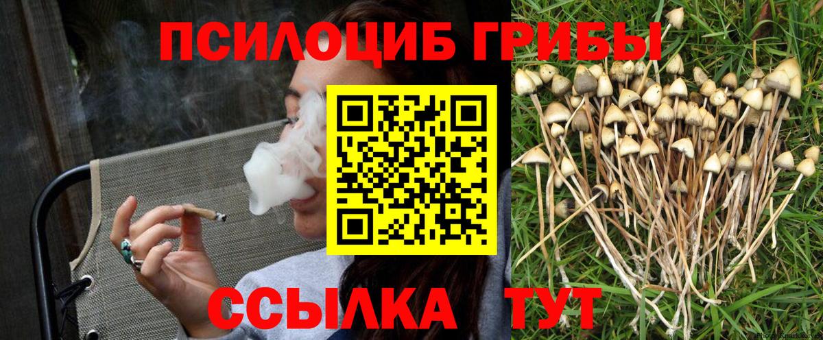 Псилоцибиновые грибы Psilocybe Ипатово