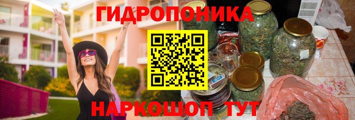 Бошки марихуана конопля Ипатово